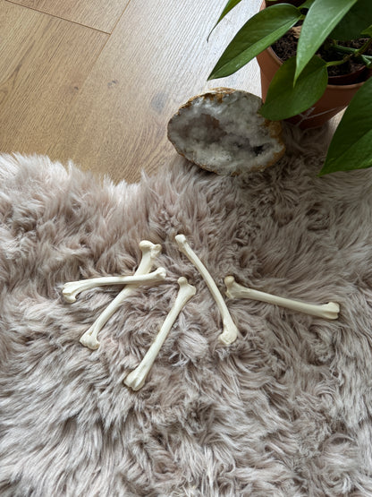Osteomancy Reading ✧ Ancient Bone Divination for Clarity & Direction